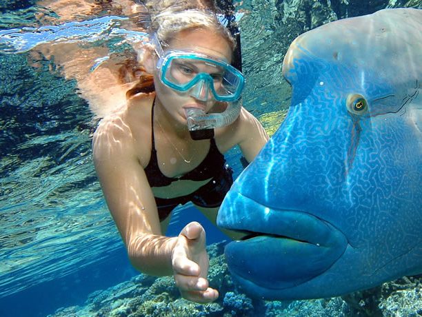 snorkeling