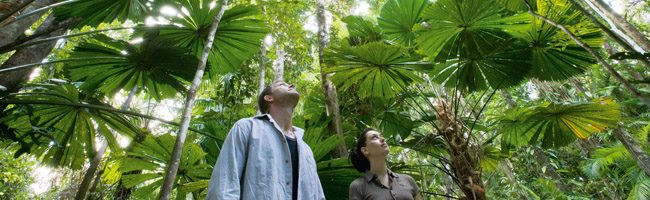 Wandering through Cairns Botanical Gardens